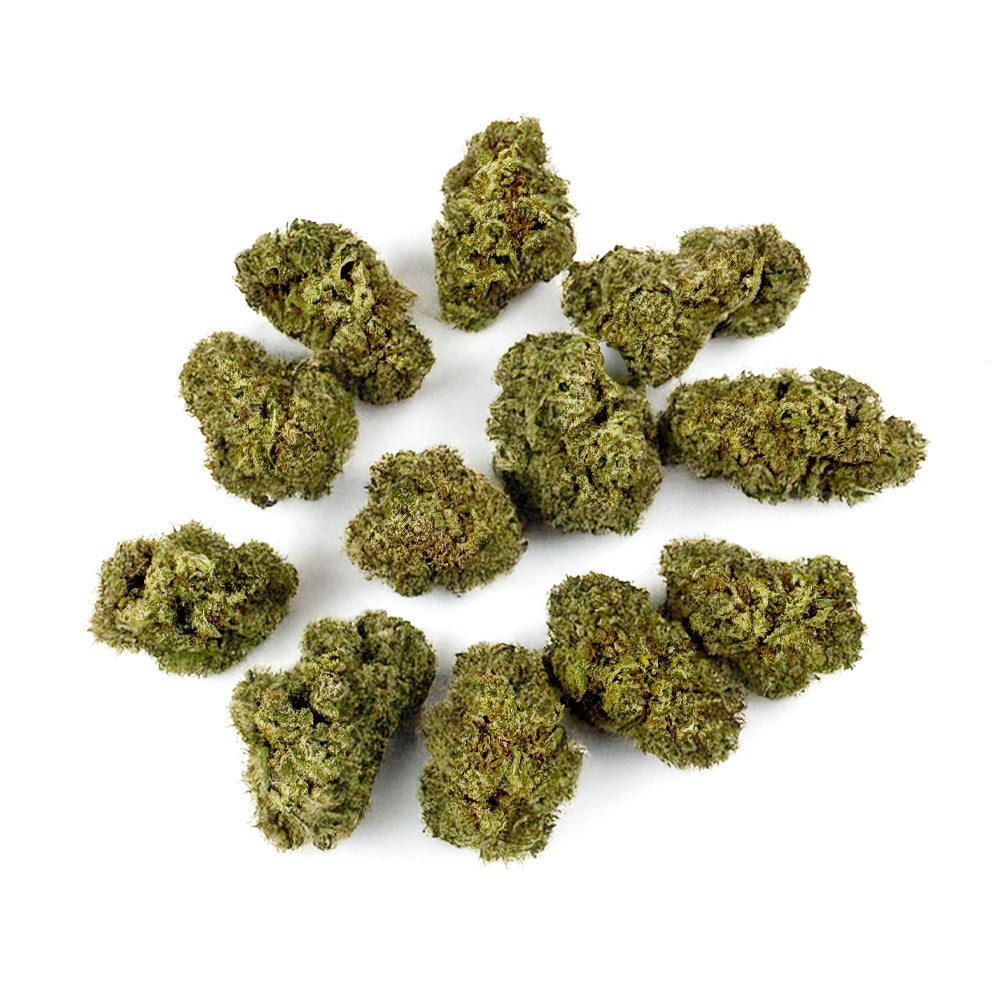 Small buds Apple Pie - Indoor