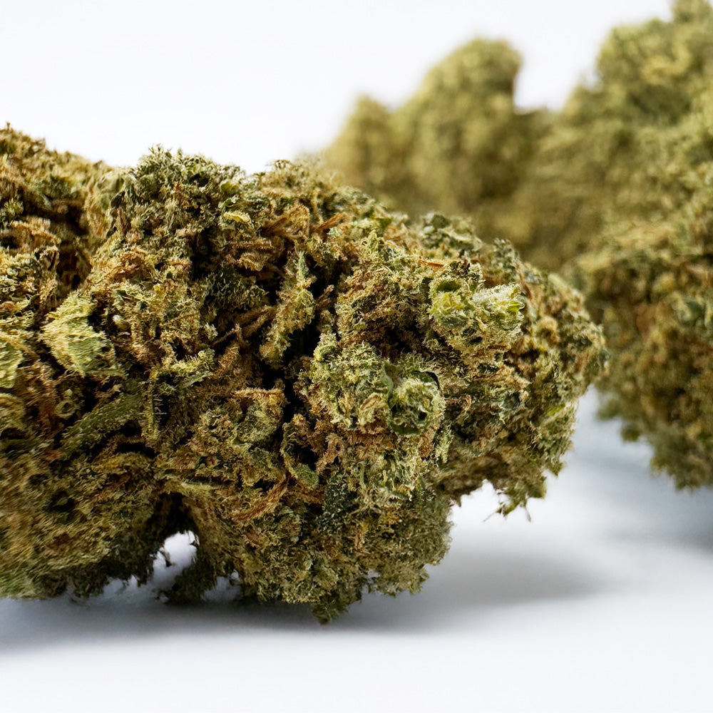 Blue Cake CBD - Indoor