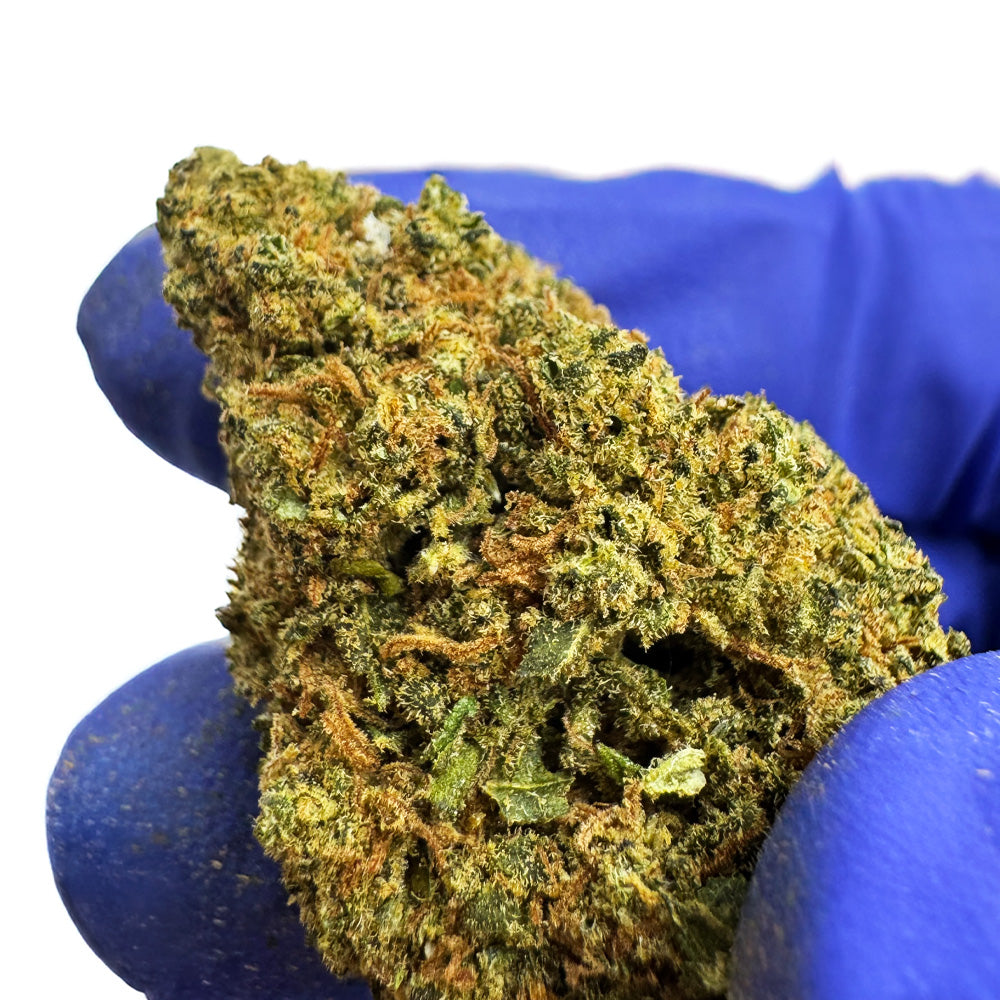 Blue Cake CBD - Indoor