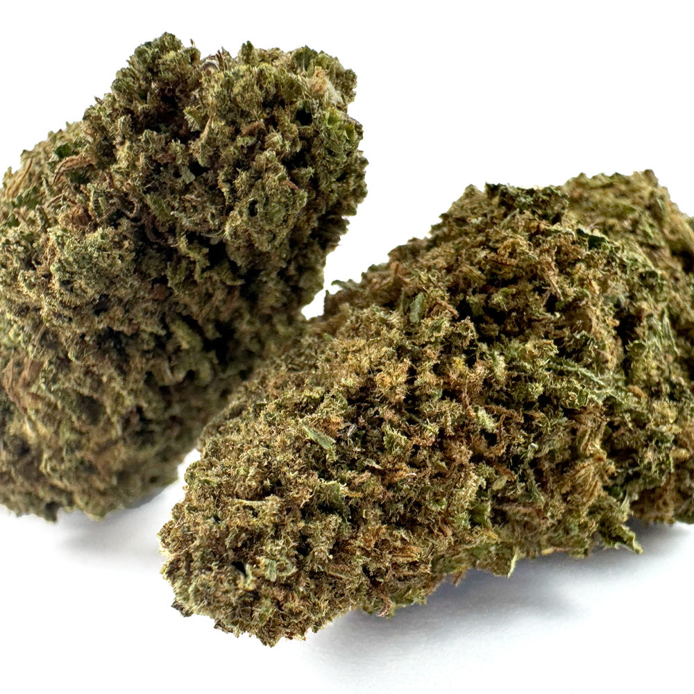 Cake Berry - Hybride US — photo 3