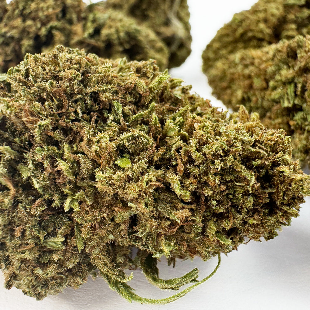 Cake Berry - Hybride US — photo 4