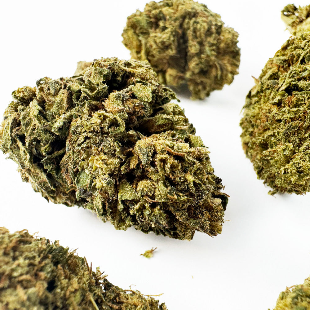 Amnesia Core Cut - Hybride USA — photo 4