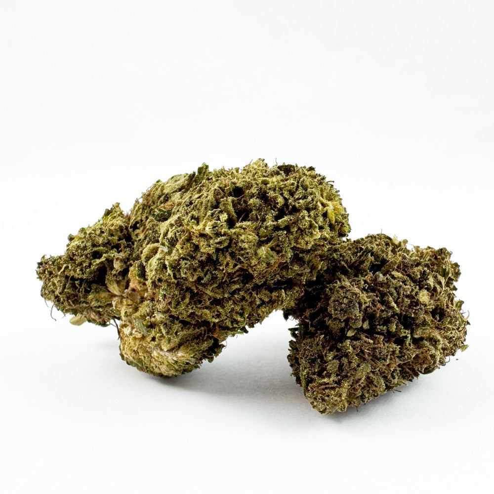 Lemon OG - Hybride USA — photo 1