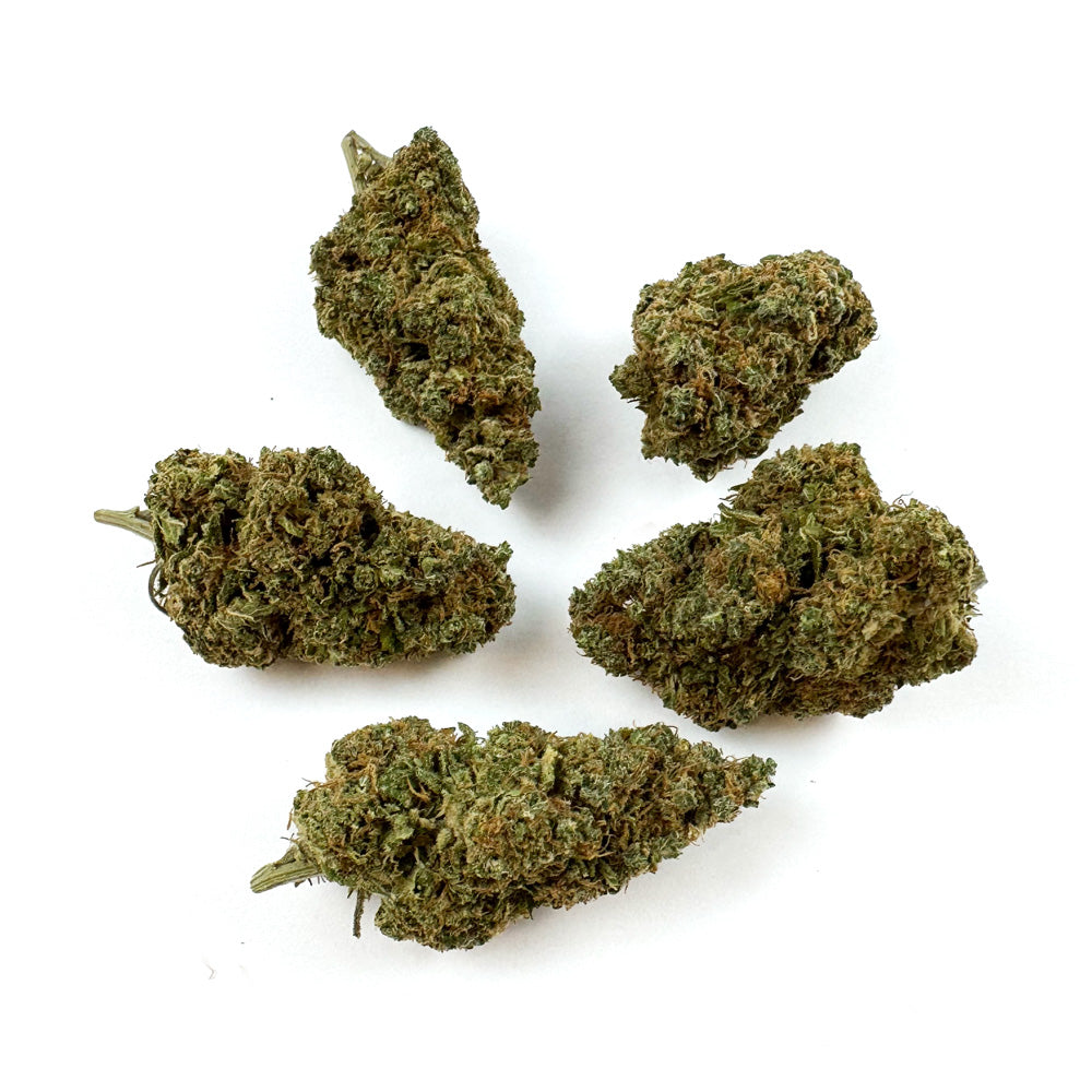 Blueberry Muffin CBD - Indoor — photo 2