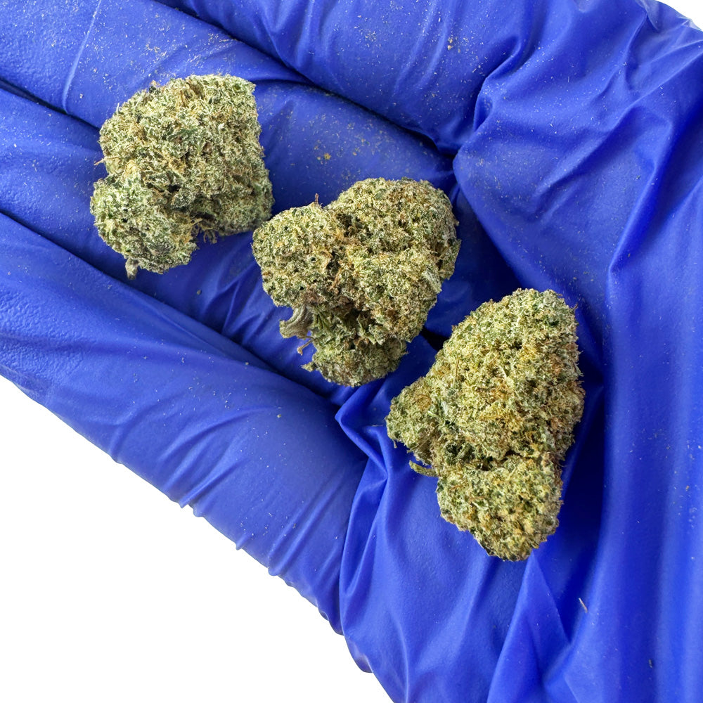 Medium buds Plutonium - Indoor — photo 4