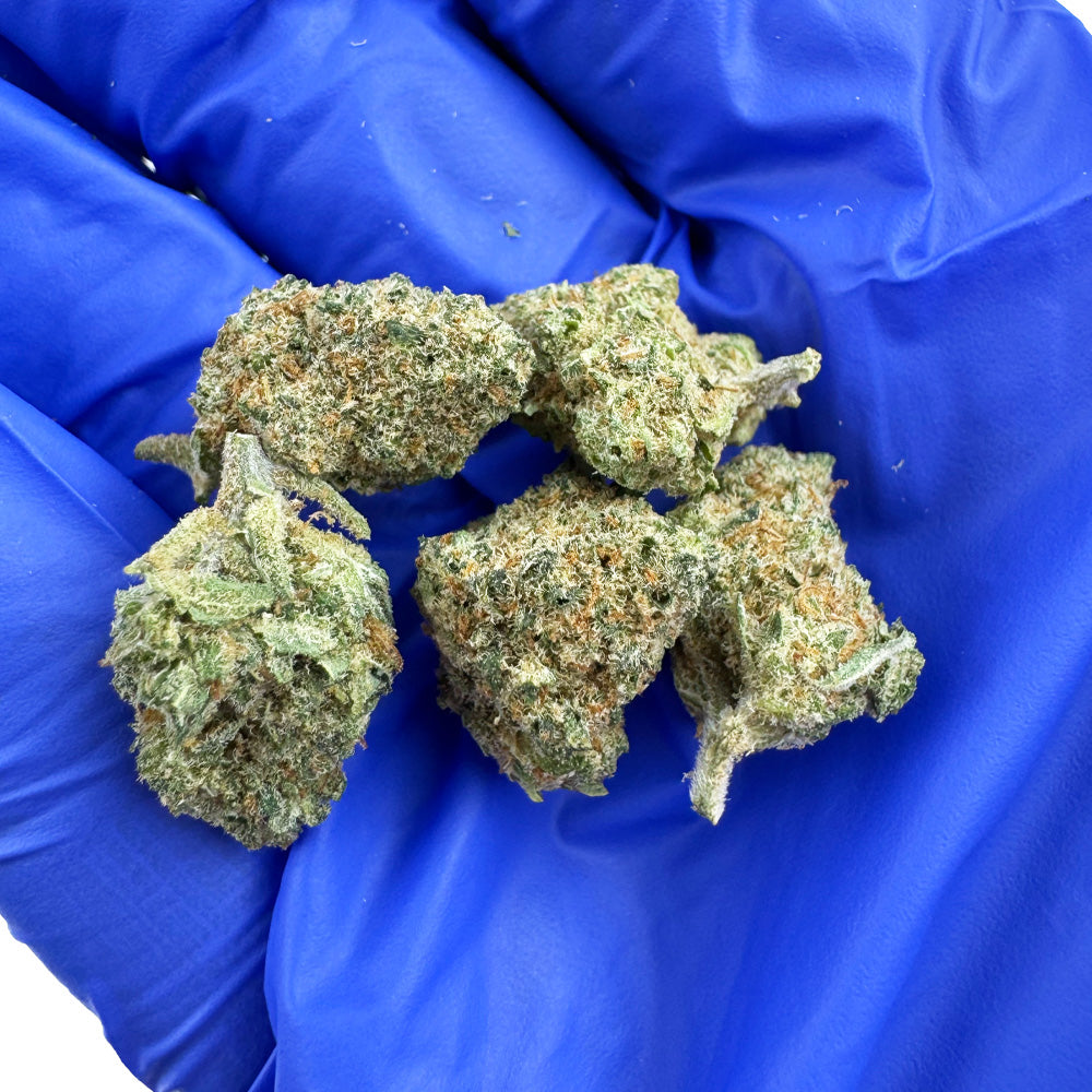 Small buds Lemon Popperz - Indoor — photo 4