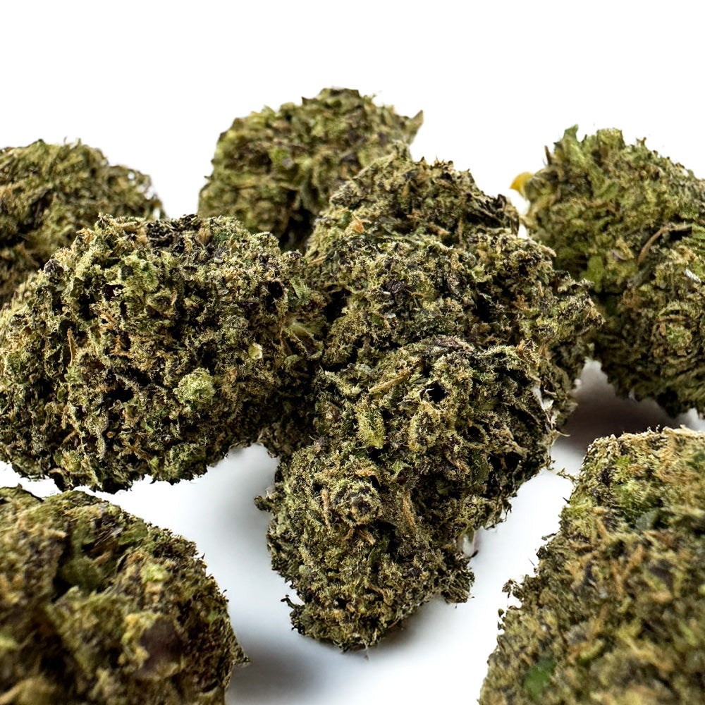 Gelato #41 - Indoor USA