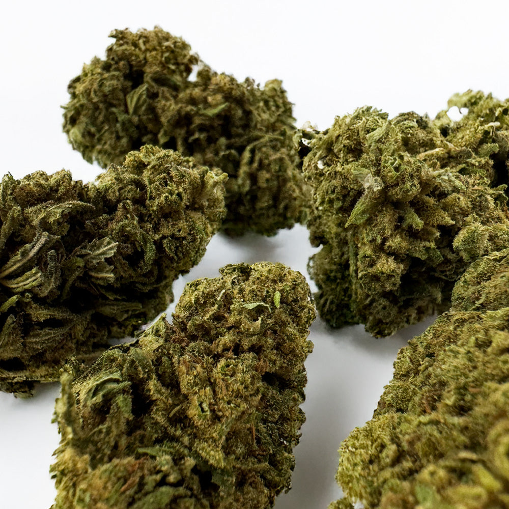 Gorilla Glue - Greenhouse