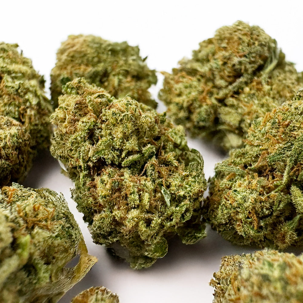 Small buds HQ Limo - Indoor