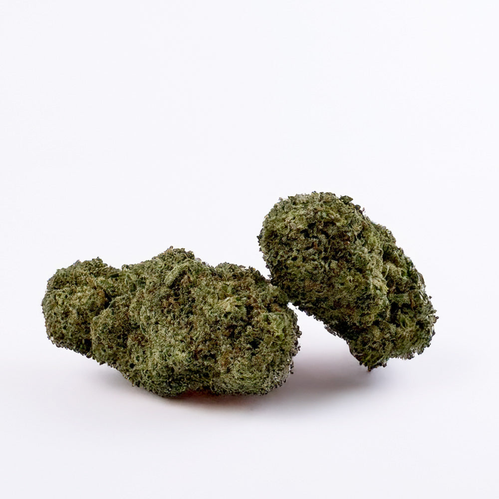 Malabar CBD - Indoor