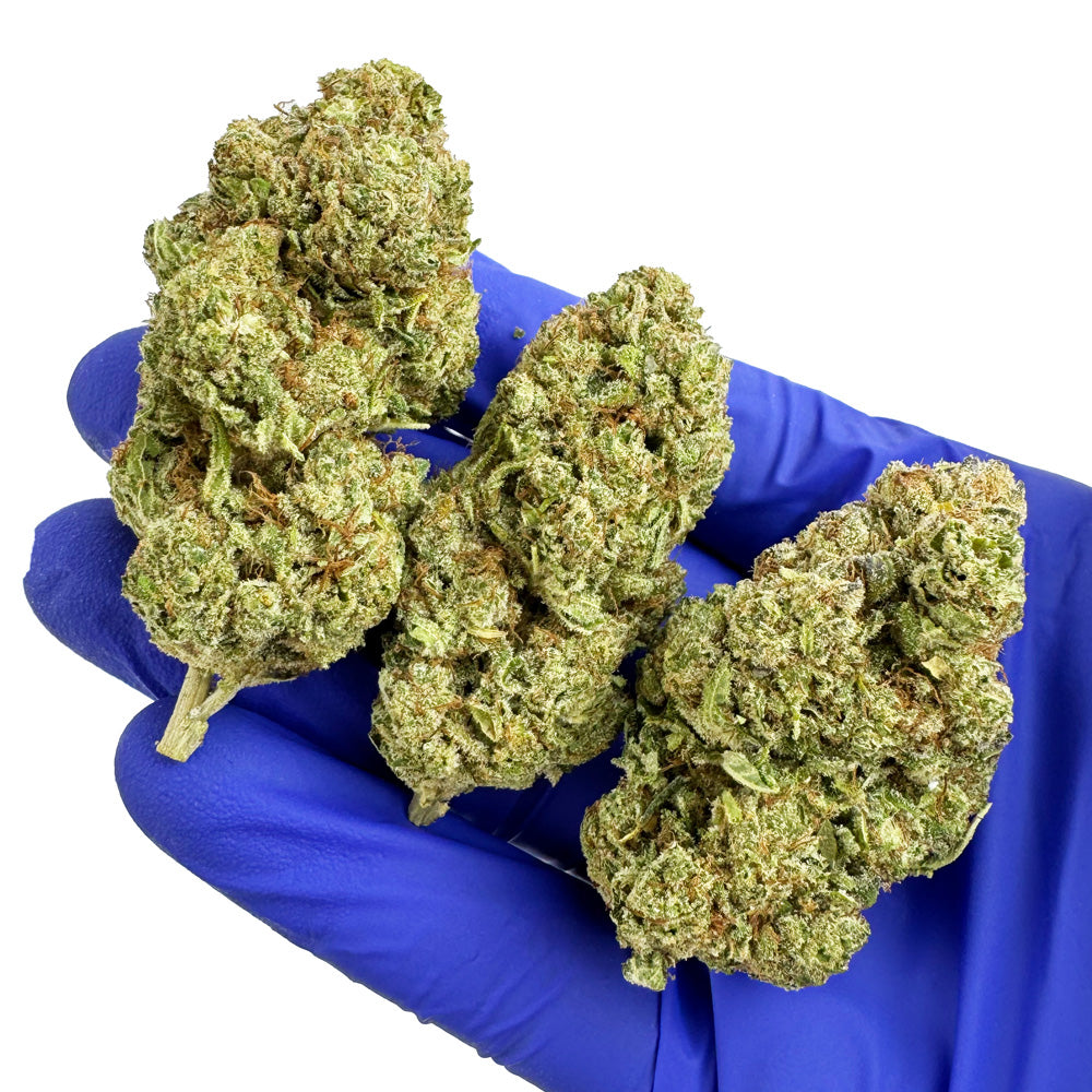 Malabar CBD - Indoor — photo 6