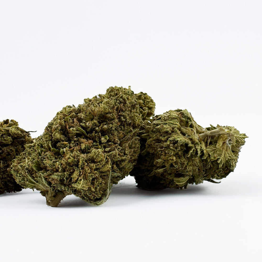 Passion Kush - Hybride USA
