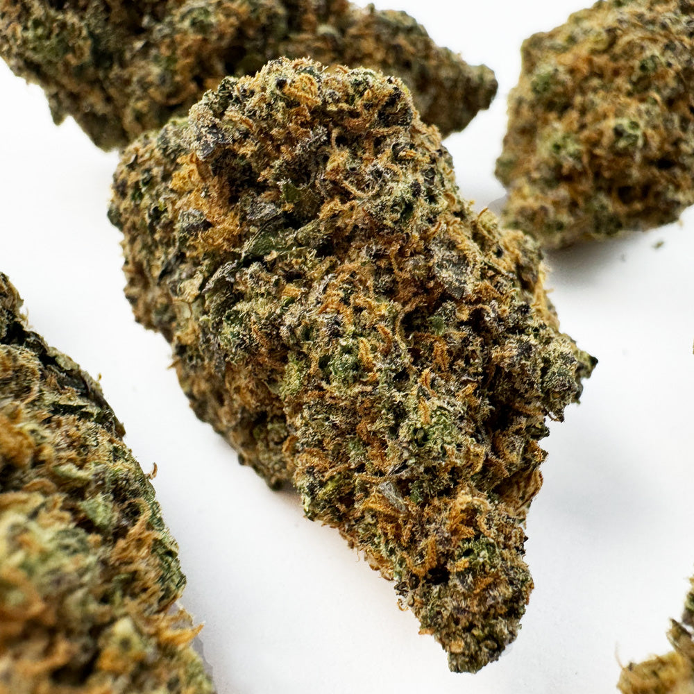 Purple Gaz CBD - Indoor — photo 3