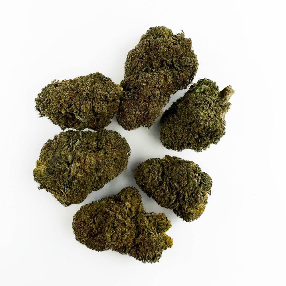 Royal OG - Hybride USA