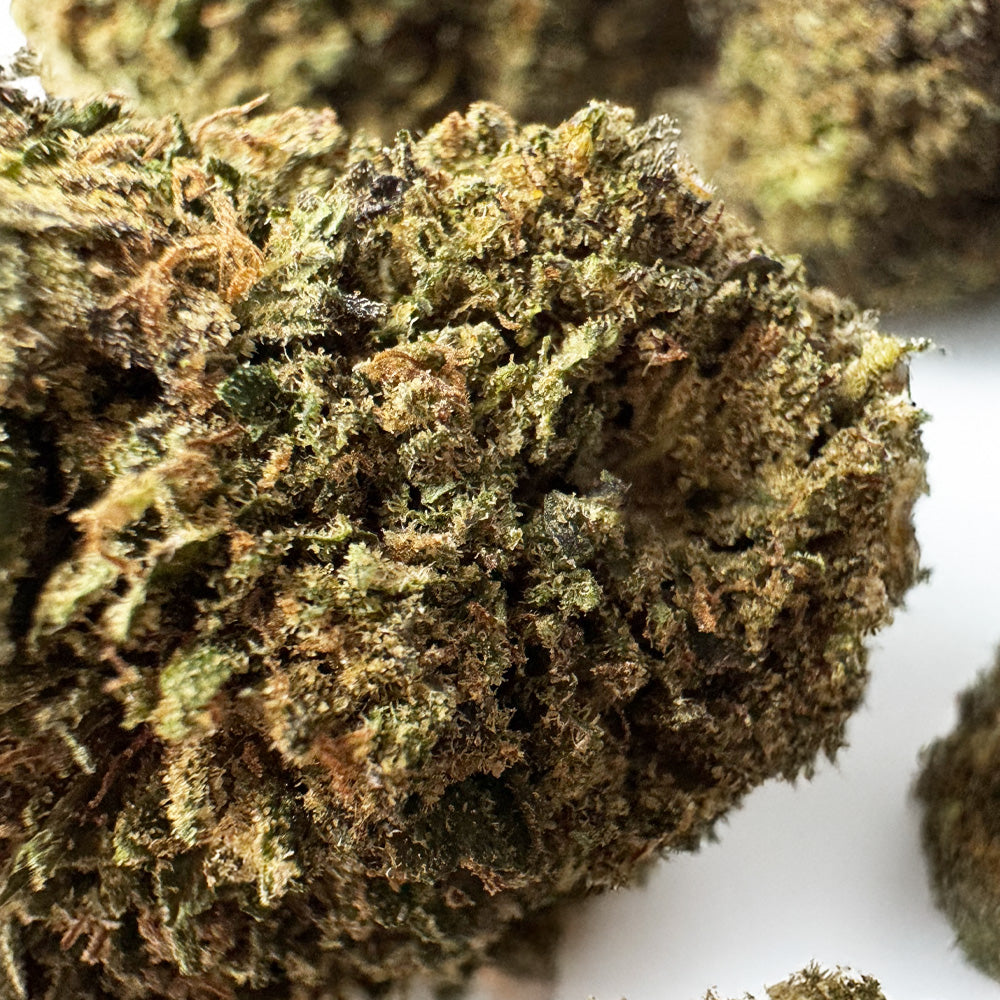 Royal OG - Hybride USA