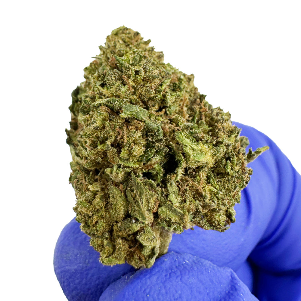 Small buds Royal OG - Hybride