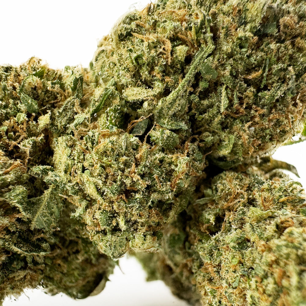Wedding Cake HQxCT CBD - Indoor