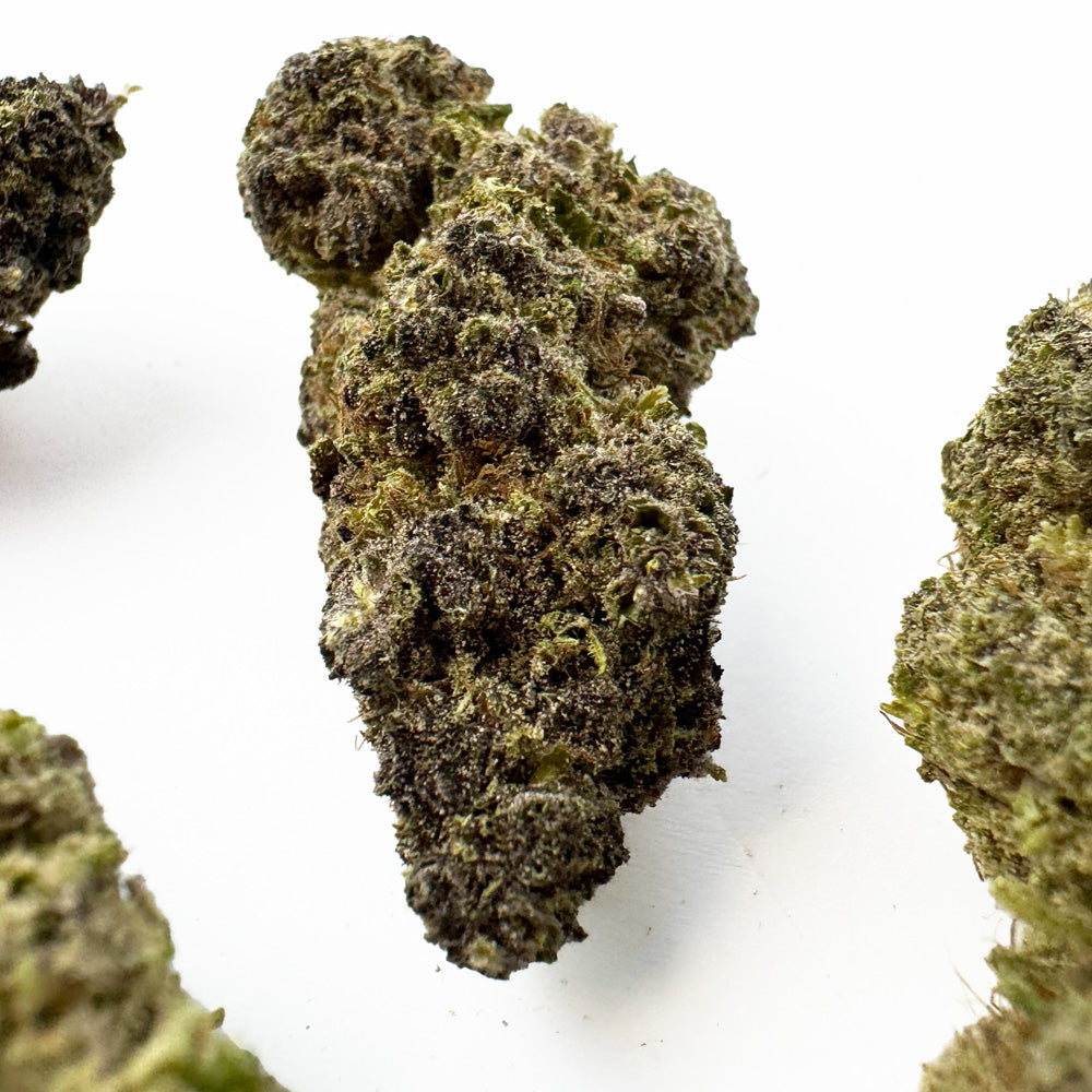 White Purple 0% THC - Indoor — photo 4