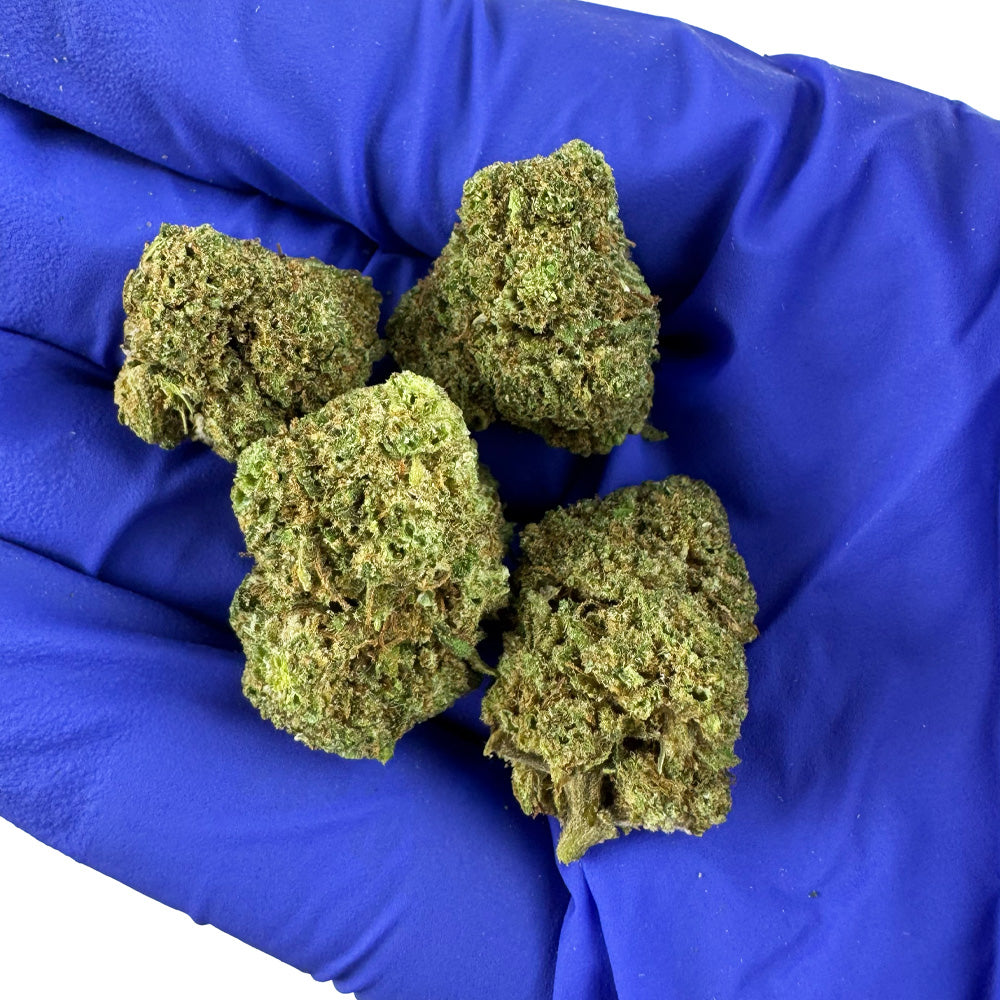 Combien coûte réellement une licence de producteur de CBD en France ?