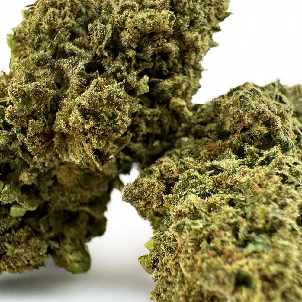 Biscotti - Glasshouse