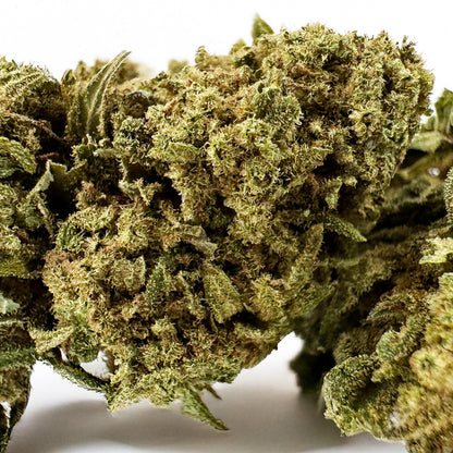 Bubblegum - Greenhouse