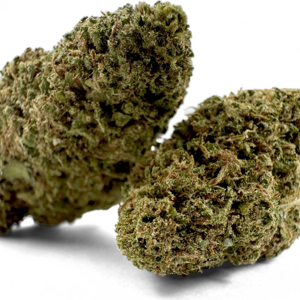 Chemdawg - Indoor USA