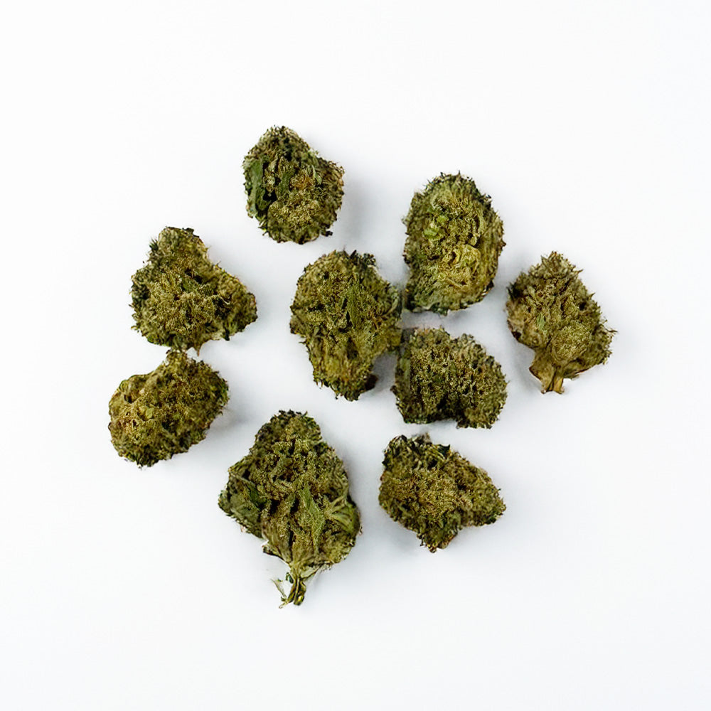 Small buds Candy Rain - Hybride