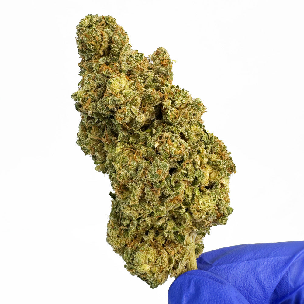 Creamy Deluxe - Indoor Elite USA — photo 4