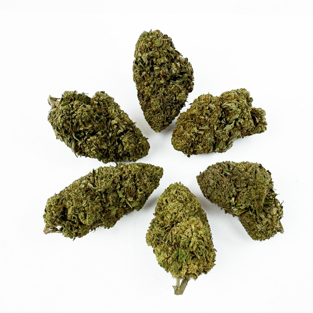 Critical - Hybride USA