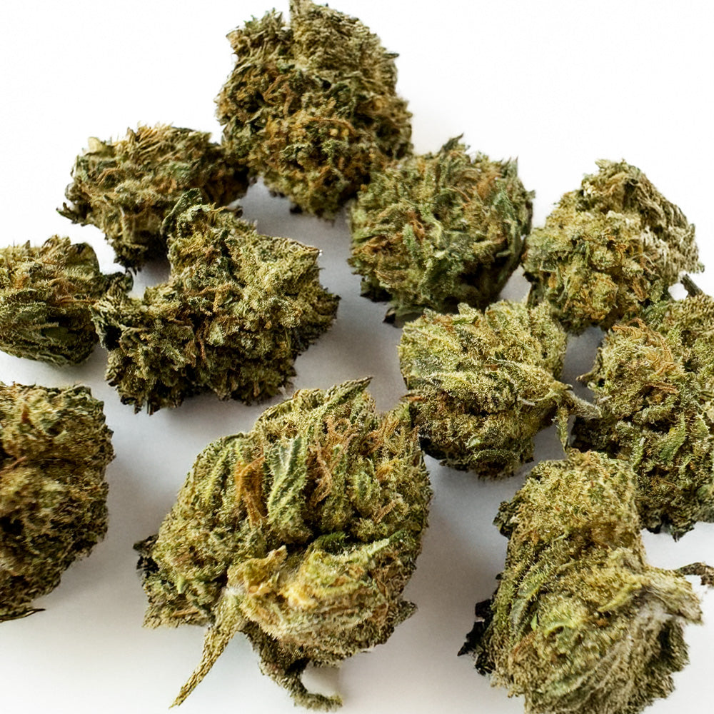 Small buds Critical Berry - Hybride