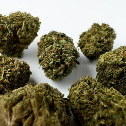 Small buds Critical - Hybride