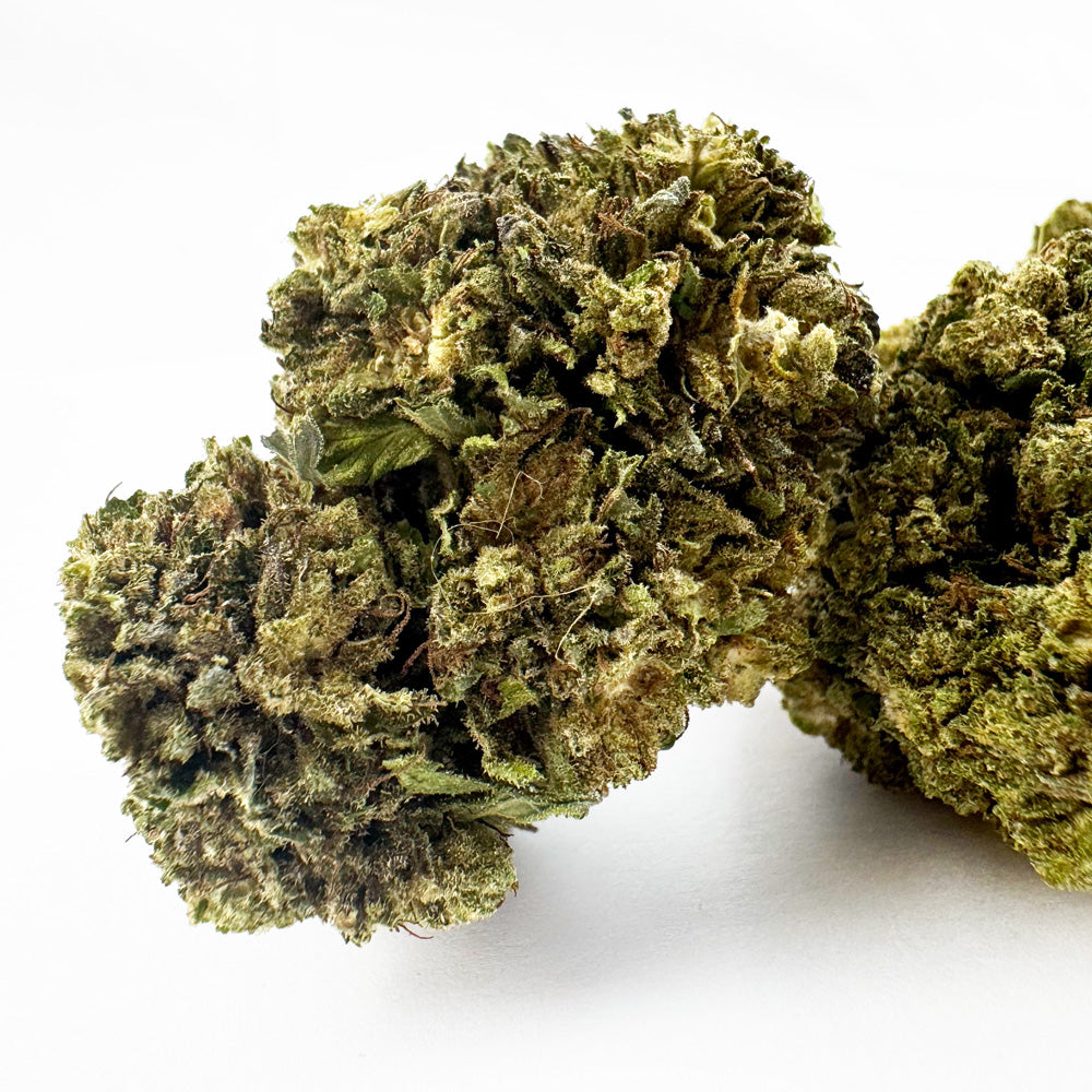 Critical - Hybride USA — photo 2