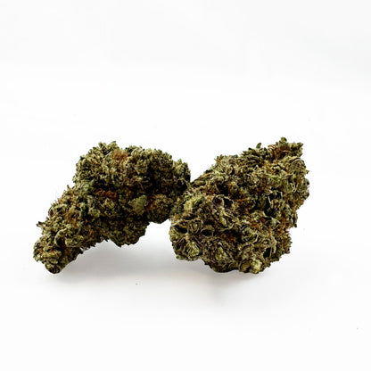 Dr. Grinspoon - Indoor Elite USA — photo 1