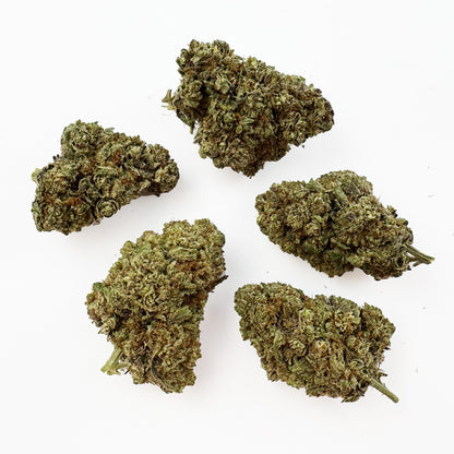 Dr. Grinspoon - Indoor Elite USA — photo 3