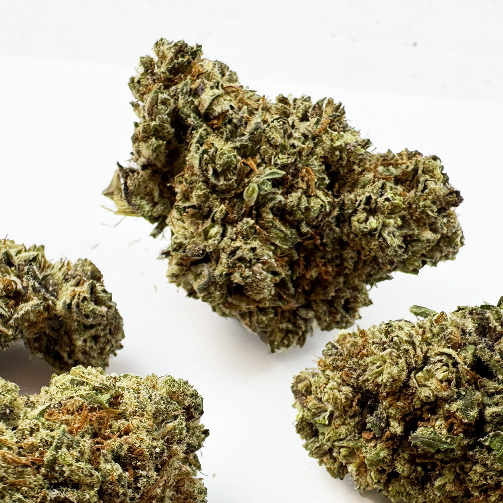 Dr. Grinspoon - Indoor Elite USA — photo 4