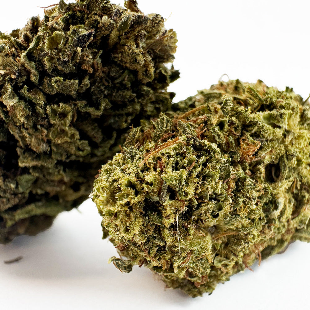 Amnesia Core Cut - Hybride USA — photo 2