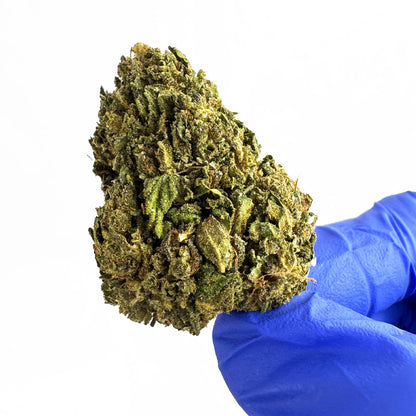 Amnesia Core Cut - Hybride USA — photo 6