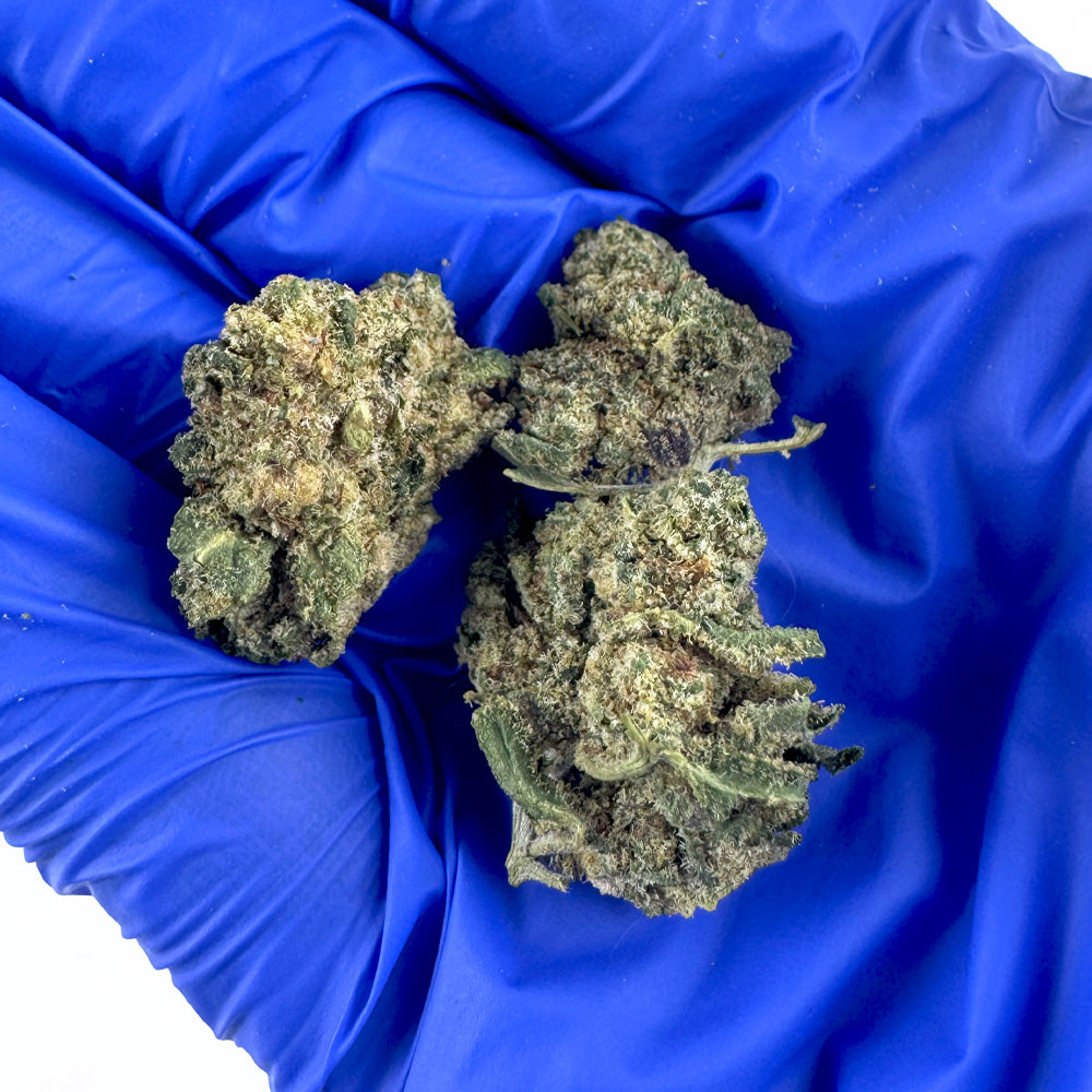 Small buds Payton Strawberry - Indoor Elite USA — photo 4
