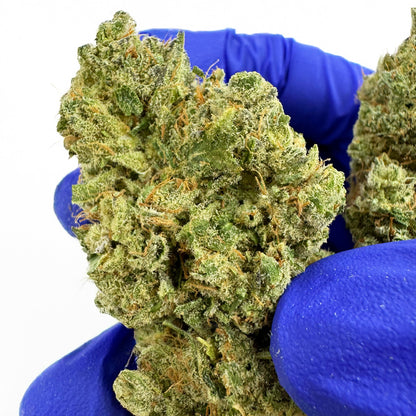 Gushers CBD - Indoor