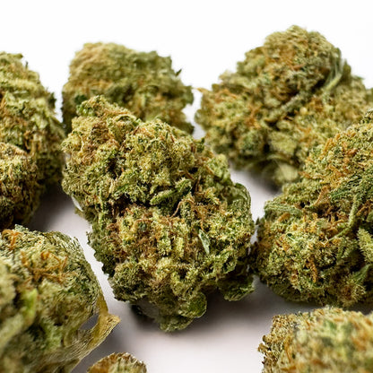 Small buds HQ Limo - Indoor