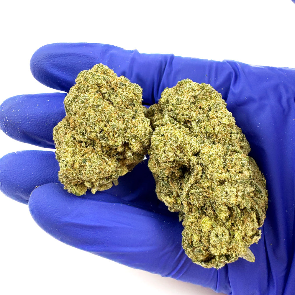 Ice Cream Cake CBD - Hydroponique Cali