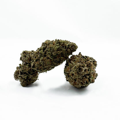 Jelly Cream - Indoor Elite USA — photo 1