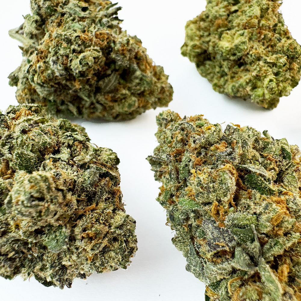 Kosher Kush - Indoor Elite USA — photo 2