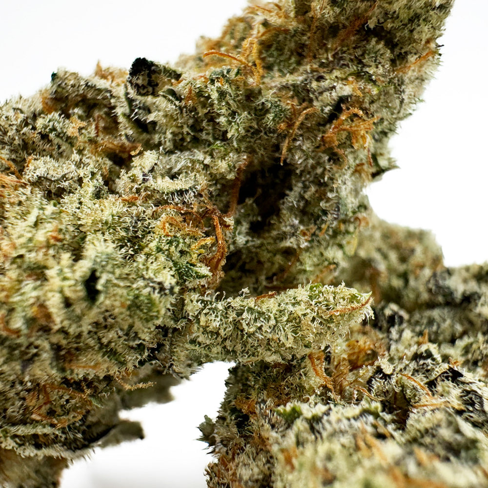 Malabar X Zoap CBD - Indoor