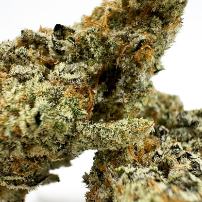 Malabar X Zoap CBD - Indoor