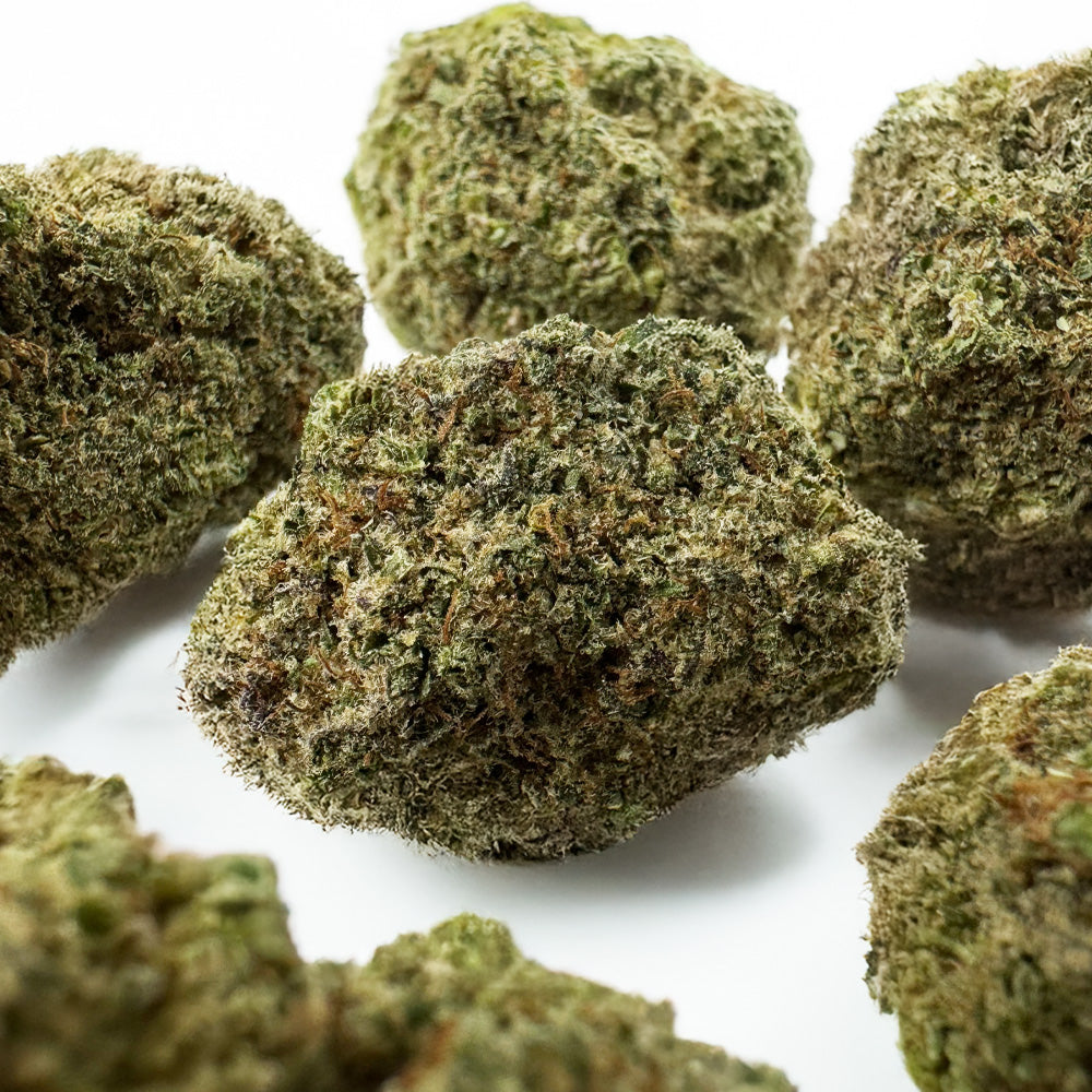 Malabar CBD - Indoor