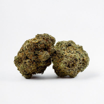Maui - Indoor