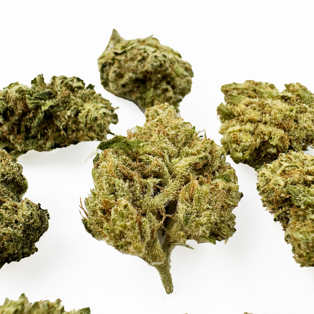 Medium buds Gushers V+ - Indoor — photo 2
