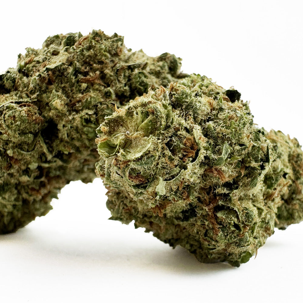 Meringue #9 - Indoor Elite USA — photo 2