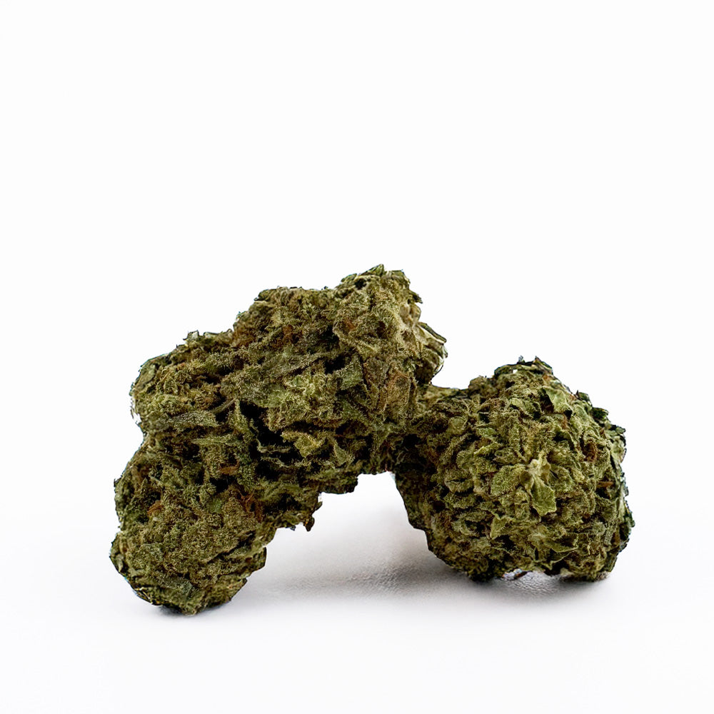 Orangello - Greenhouse